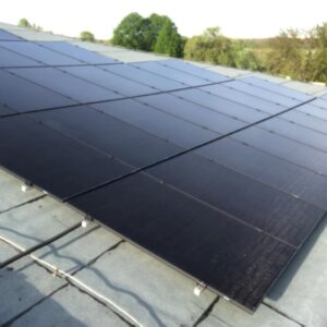 003e7613-ea50-4fd6-beff-091ec848a68b (1)